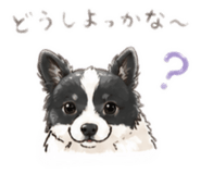 838841560