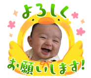 838842228