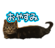 838842236
