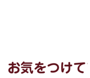 838842245