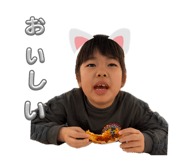 838842381