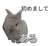 838842617