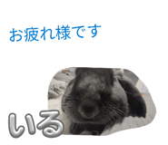 838842624