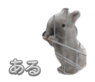 838842625