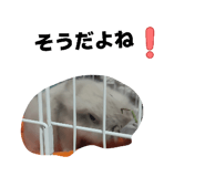 838842629