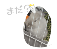 838842630