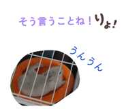 838842632