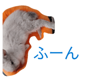 838842633