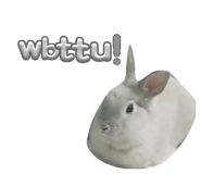 838842644