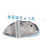 838842647