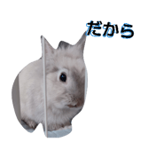 838842650