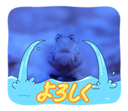 838842723