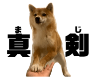 838842784