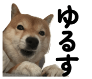 838842790