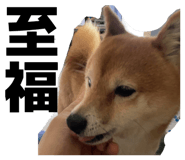 838842793