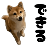 838842794