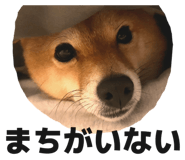 838842795