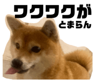 838842796