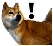 838842800