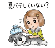 838842852