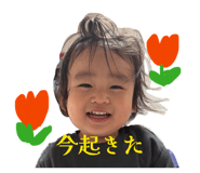 838843081