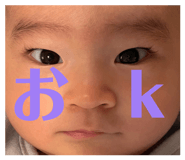 838843085