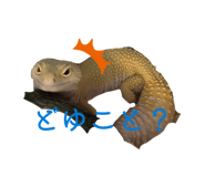 838843514