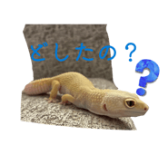 838843519