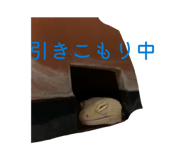 838843522