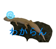 838843523