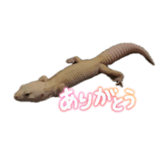 838843524