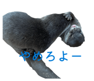 838843528