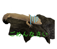 838843531