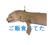 838843534