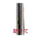 838843544