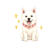 838843571