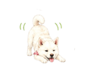838843578