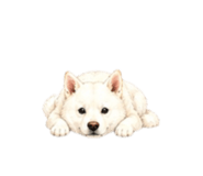 838843598