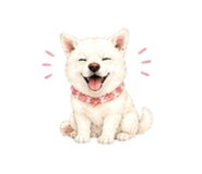 838843603