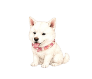 838843605