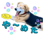 838843822