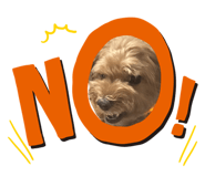 838844117