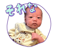 838844412