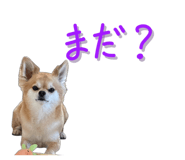 838844429