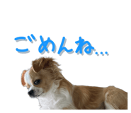 838844430