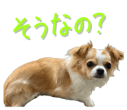 838844432