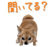 838844435