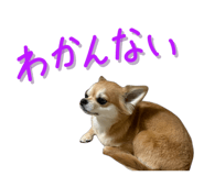 838844438