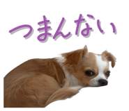 838844439