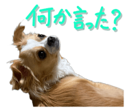838844442